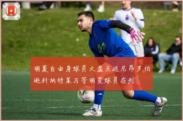 明夏自由身球员大盘点迈尼昂罗伯逊科纳特莱万等明星球员在列