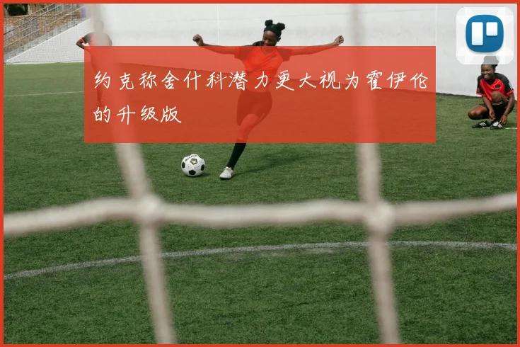 约克称舍什科潜力更大视为霍伊伦的升级版