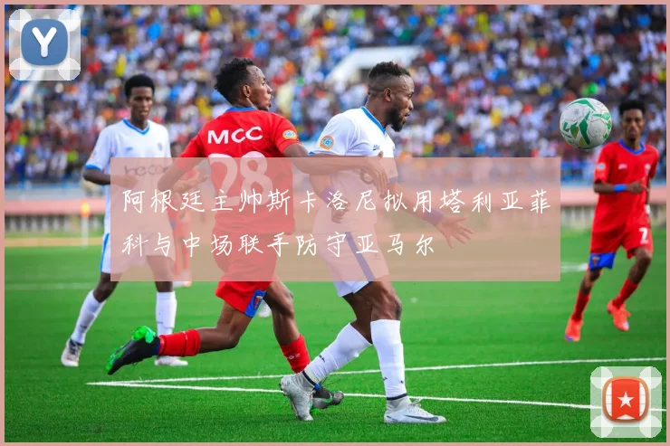 阿根廷主帅斯卡洛尼拟用塔利亚菲科与中场联手防守亚马尔