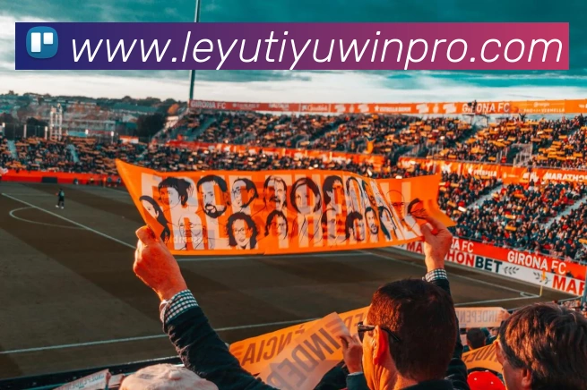 多媒体互动体验