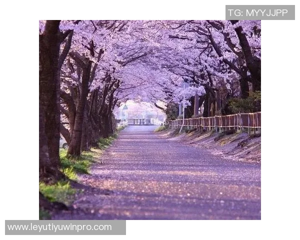 生活琐事与心灵感悟的碎碎念合集三十篇分享